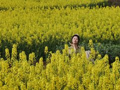 -樱桃山旅游景区