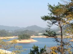 -广州市流溪河国家森林公园