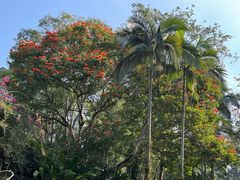 -中国科学院西双版纳热带植物园