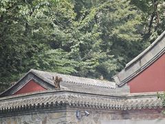-北京上方山国家森林公园