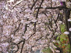 -红星桥(地铁站)