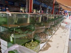 -东戴河风景区-止锚湾