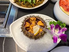 海胆-鸭绿江海鲜烧烤大排档(杏林街店)