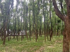 -东湖落雁景区