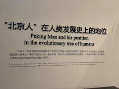 -北京周口店北京人遗址博物馆