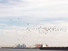 -东疆建设开发纪念公园
