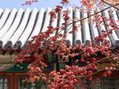 -北京颐和宾馆