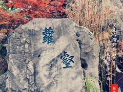-檀园