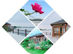 -鹅湖玫瑰文化园