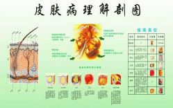 -宜肤清颜专业祛痘问题肌修护