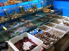 -岳各庄批发市场(西四环中路店)