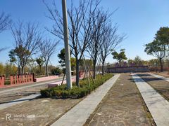 -春花秋色城市公园