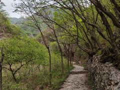 -圣莲山风景区