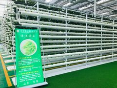 -兰陵国家农业公园