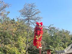 -佛山市祖庙博物馆