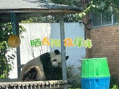 -苏州太湖国家湿地公园