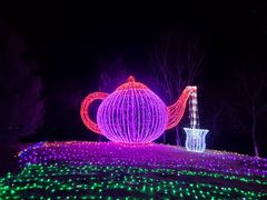 -青龙湖公园