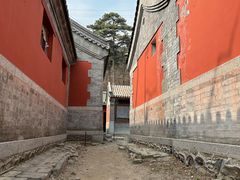 -阳台山自然风景区