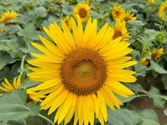 -廊坊文化艺术中心