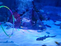 -沈阳海洋探索中心