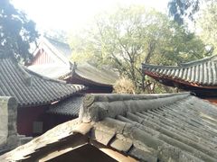 -七曲山风景区