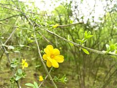 -重庆中央公园(渝北区)