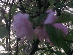 -水磨沟公园