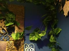 -星宿秘码(鼓浪屿老店)