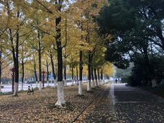 -金陵图书馆