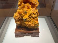 -安徽省地质博物馆