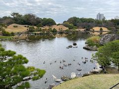 -水前寺成趣园
