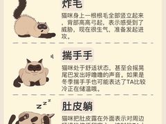 -翊宠yipet猫狗购宠庄园犬舍•猫舍