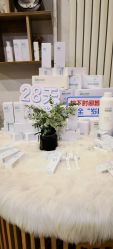 -薇薇安花系SPA