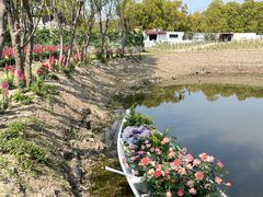 -嘉北郊野公园