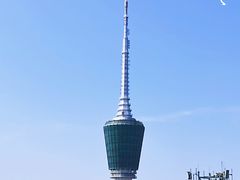 -梧桐山风景名胜区