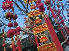 -南宫五洲植物乐园