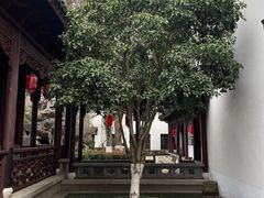 -檀园