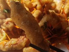 焦烧肉条-金鹏鱼肉馆