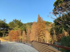 -云溪植物园