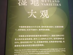 -中国湿地博物馆