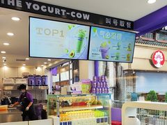 -一只酸奶牛(洪崖洞11楼店)