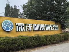 -渌洋湖湿地公园