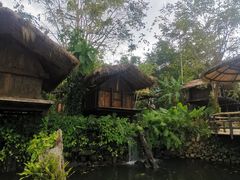 -海南槟榔谷黎苗文化旅游区