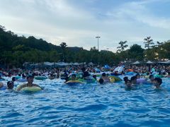 -重庆海昌加勒比海水世界