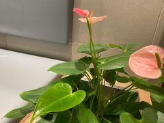 -美丽心情蛋糕(江苏路店)