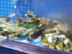 水产区-锦绣金山人家(友谊店)