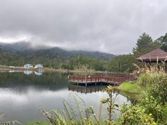 -海南热带雨林国家公园吊罗山景区