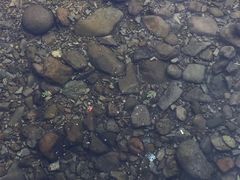 -楠溪江风景名胜区