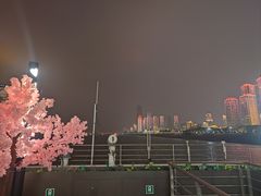 -武汉两江游览·夜游长江(汉口粤汉码头)