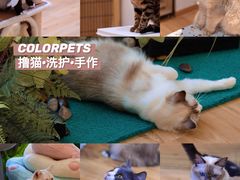 -梅龙镇广场
